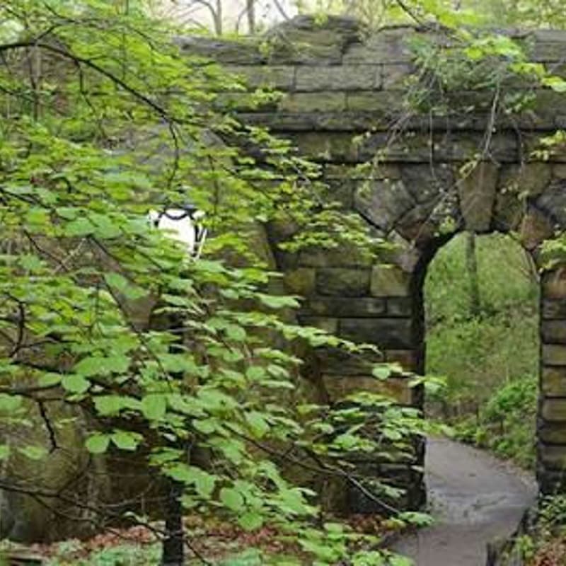 Cover Image for FREE EVENT: World Listening Day Central Park Nature/Audiobook Walk & Listen!