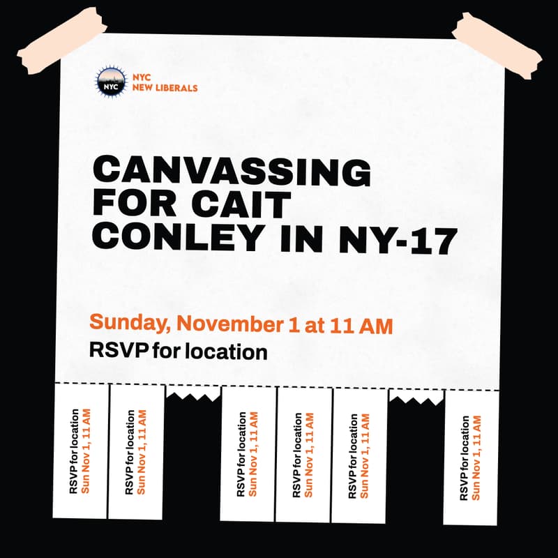 Cover Image for Canvassing for Cait Conley in NY-17