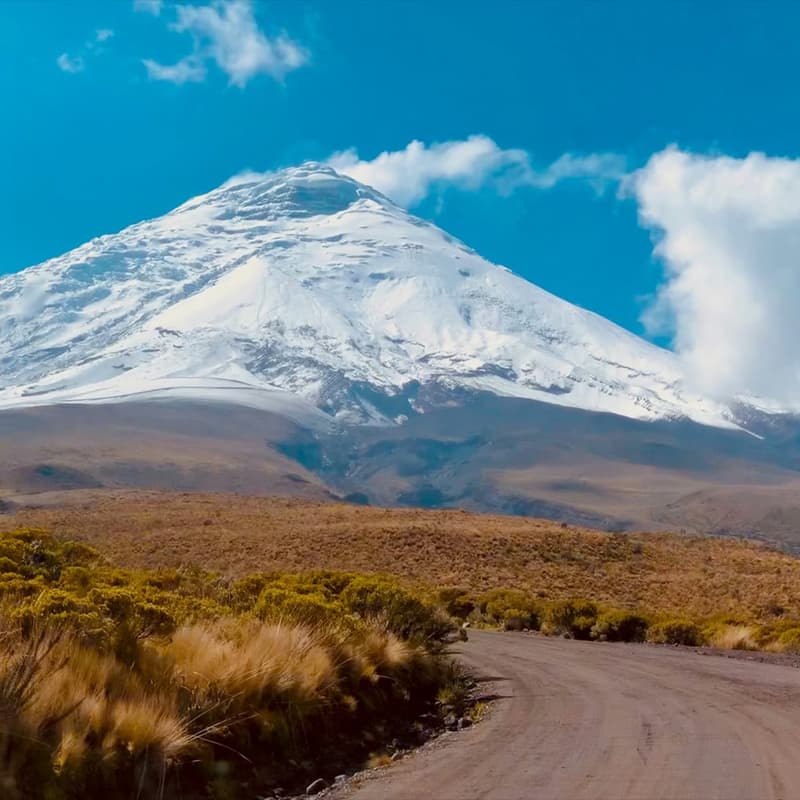 Cover Image for 🇪🇨 (30 Nov - 18 Dec) Ecuador Chapter