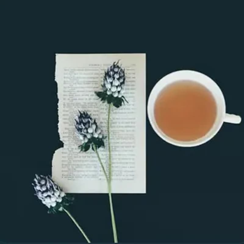Cover Image for Weekly Accountabili-tea Circle: Reflection & Planning #26 - Members Only