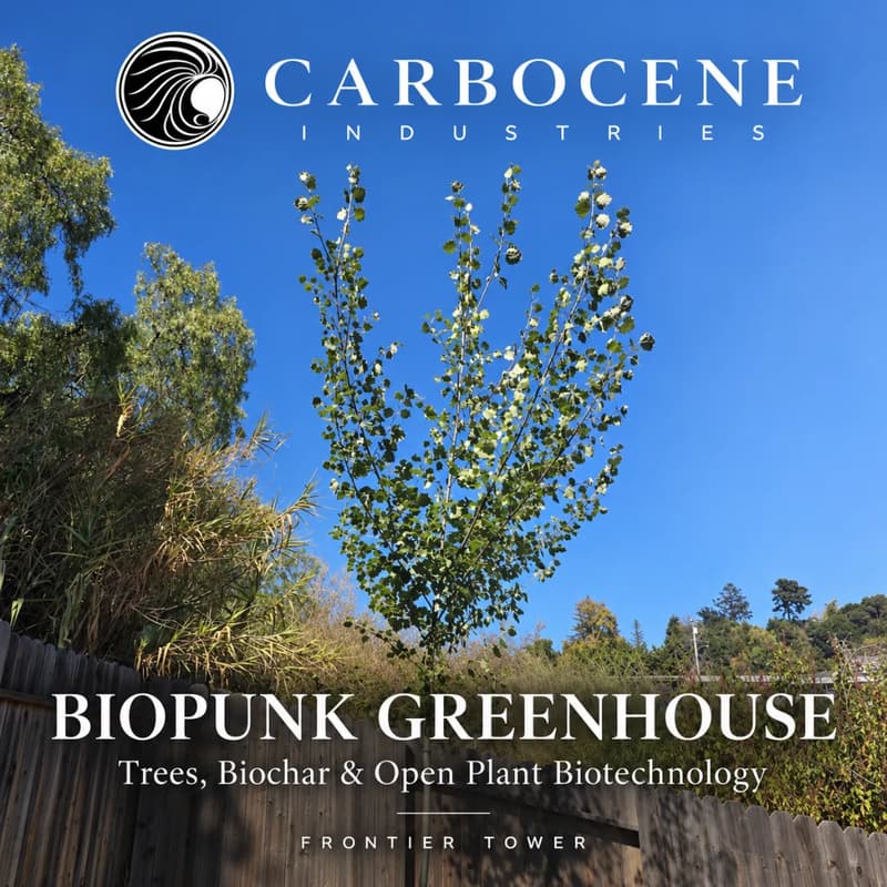 Cover Image for Biopunk Greenhouse: Trees, Biochar & Open Plant Biotechnology - Members +3