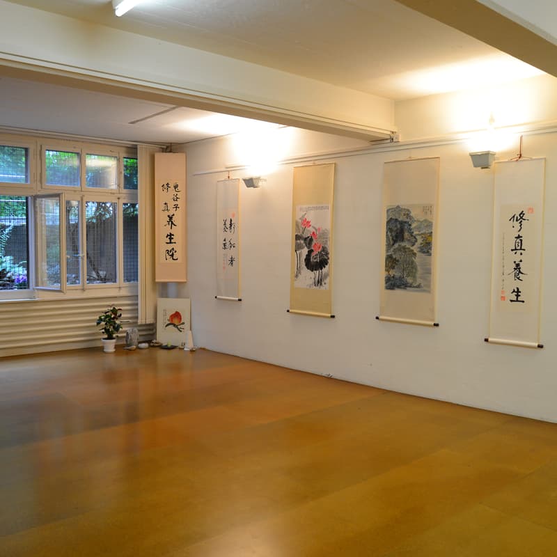 Cover Image for Qigong und Taijiquan, um das Leben zu pflegen