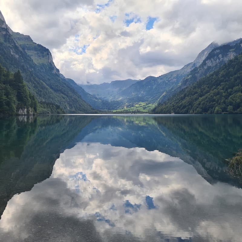 Cover Image for Selbstmitgefühl (MSC) kennenlernen