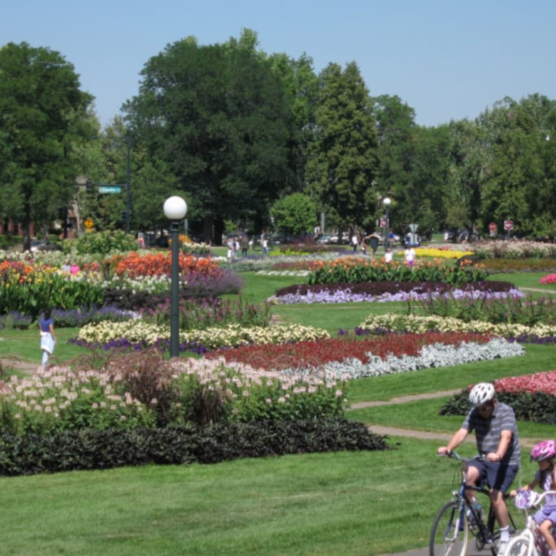 Cover Image for Denver Family Pot-Luck Picnic