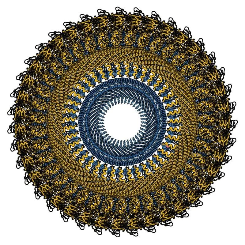 Cover Image for Generative Biology Reading Group - Community Only