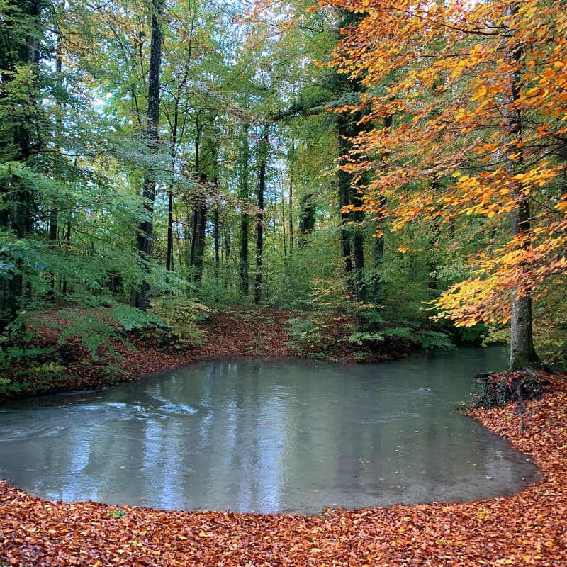Cover Image for «Belebendes Gehen – täglich am Morgen»