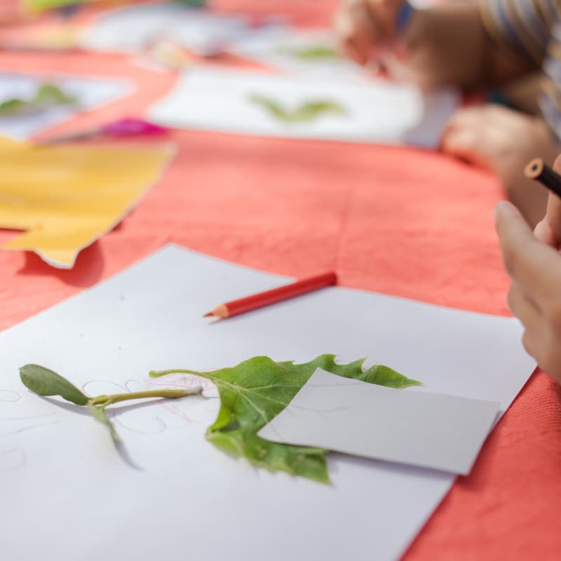 Cover Image for Ferienprogramm. Blatt auf Blatt . Kunst-Naturworkshop für Kinder