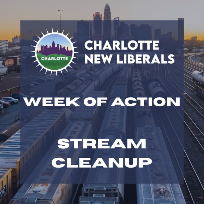 Cover Image for Week of Action: Street and Stream Cleanup