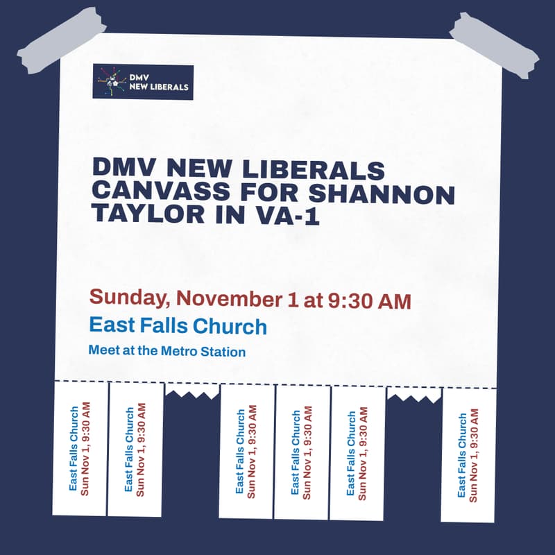 Cover Image for DMV New Liberals Canvass for Shannon Taylor in VA-1