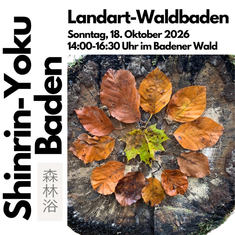 Cover Image for Landart-Waldbaden (Shinrin-Yoku Gesundheitstraining)