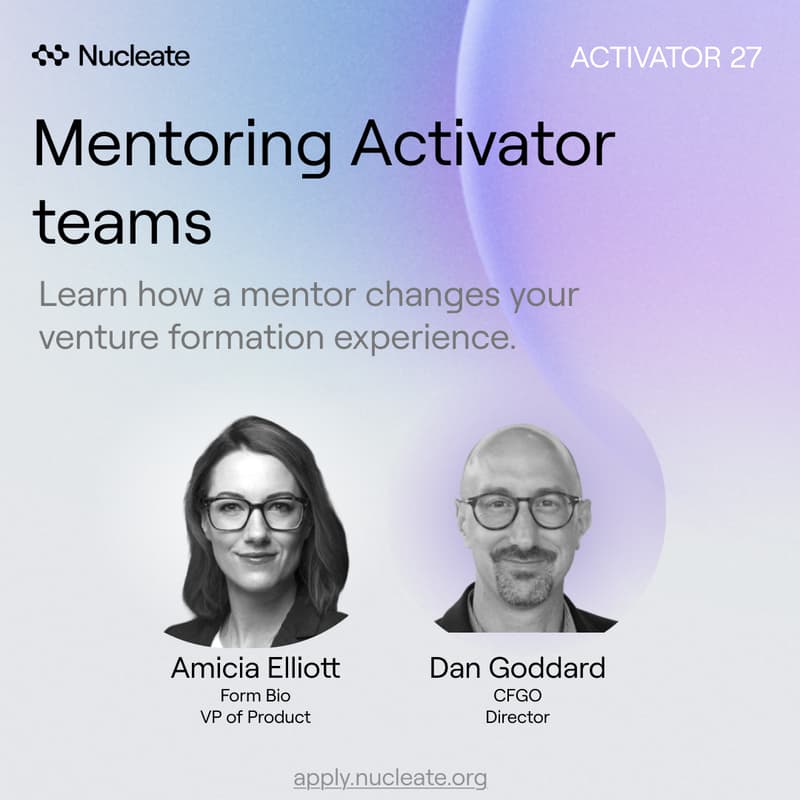 Cover Image for The impact of a mentor in the early days of your venture creation.