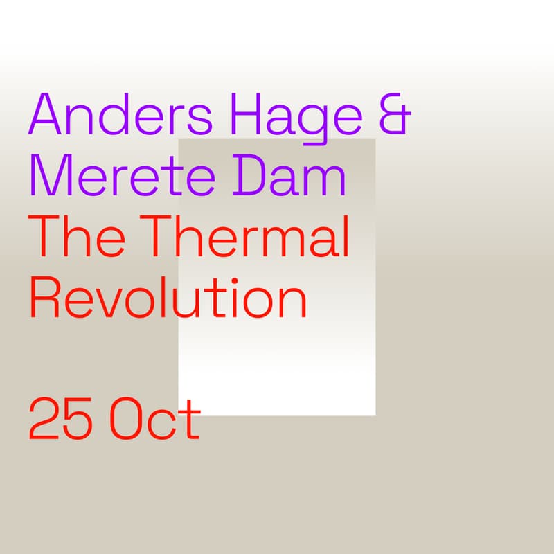 Cover Image for The Thermal Revolution: The Danish Model, from Sauna Entertainment to Human Experience Design