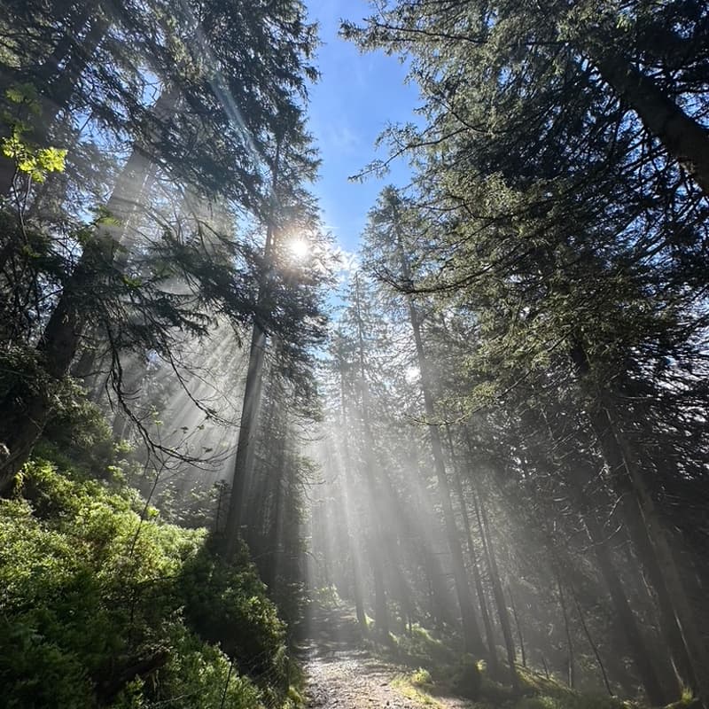 Cover Image for Achtsamer Start in den Tag – Morgenmeditation
