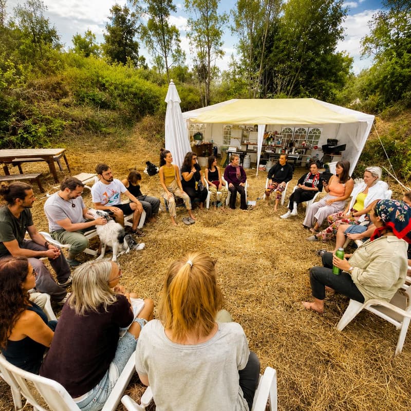 Cover Image for Aridani: 6-Week In-Person Training for Creators