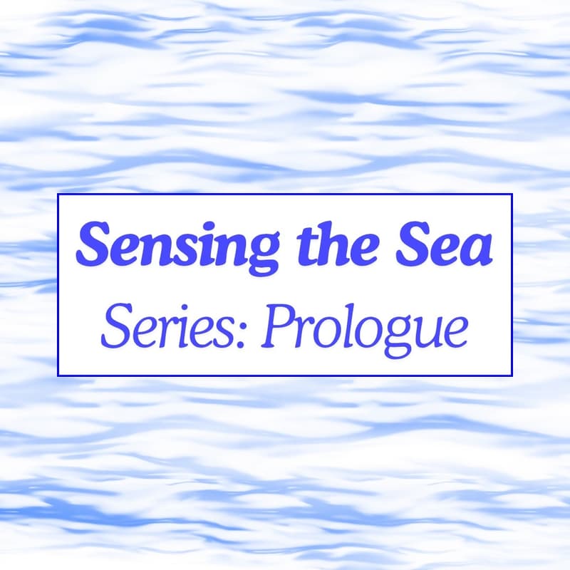 Cover Image for Sensing the Sea Series: Pilot