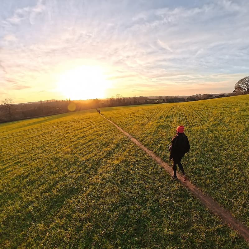 Cover Image for Ightham mote & Knole park circular