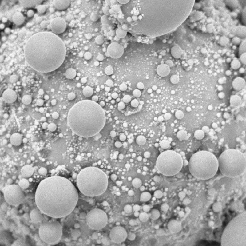 Cover Image for Dunia.ai@NeurIPS: AI 4 Materials Lunch