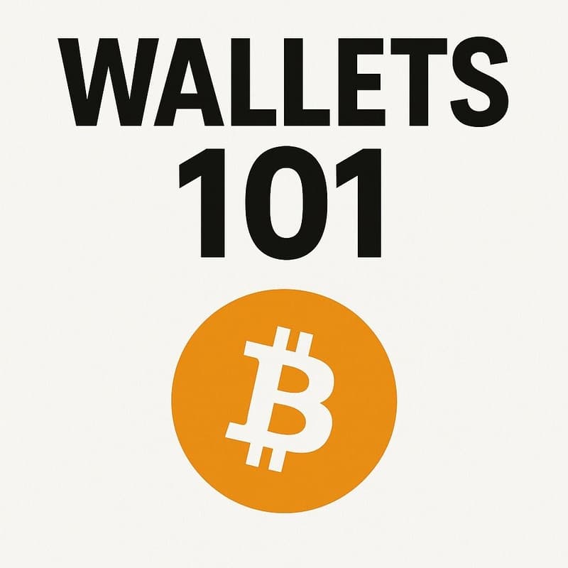 Cover Image for WALLETS 101