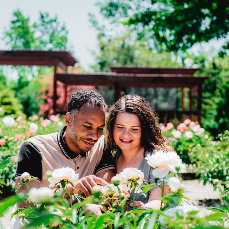Cover Image for Forest Therapy walk at Whistling Gardens