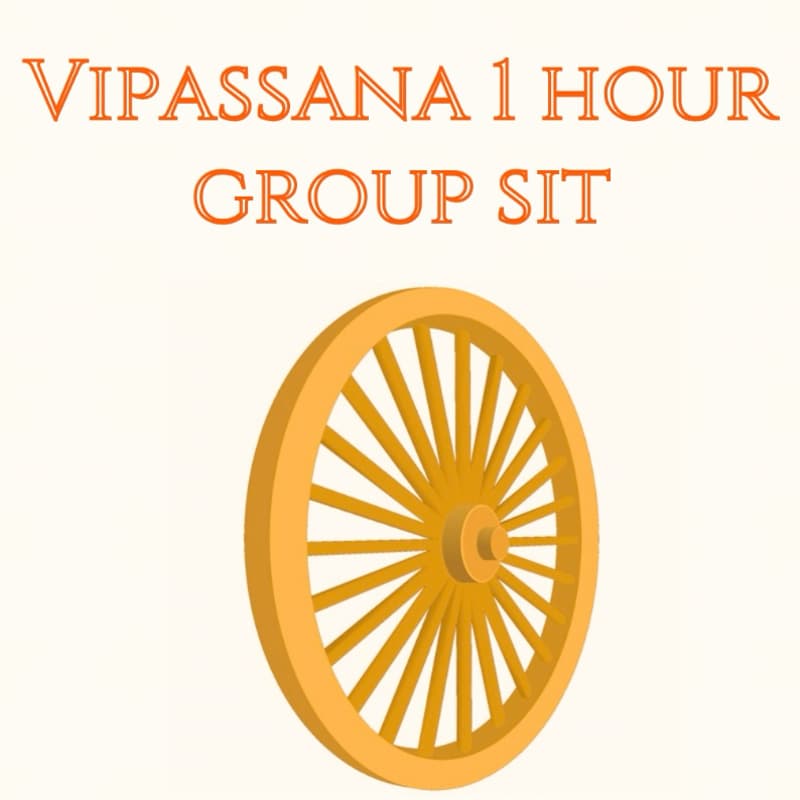Cover Image for Vipasana Meditation for Practitioners by Lexi B - Open Registration