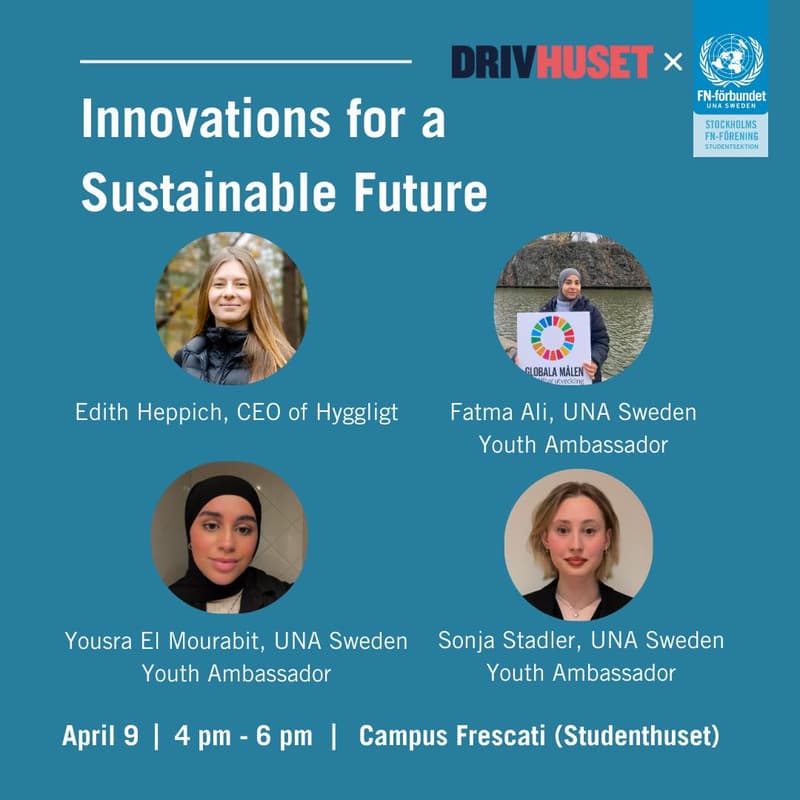 Cover Image for Innovation for a Sustainable Future