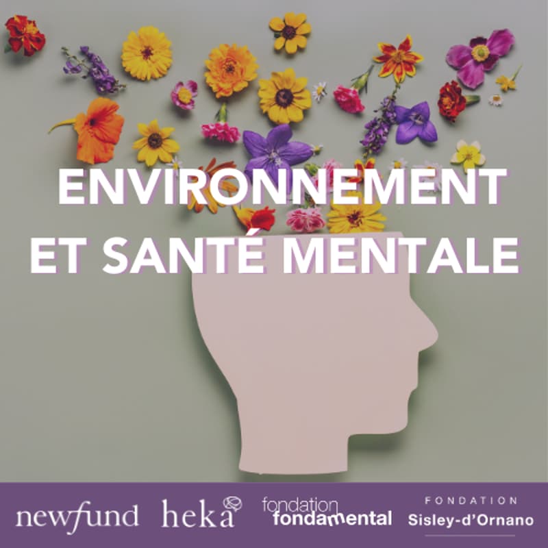 Cover Image for Facteurs de risques environnementaux et santé mentale