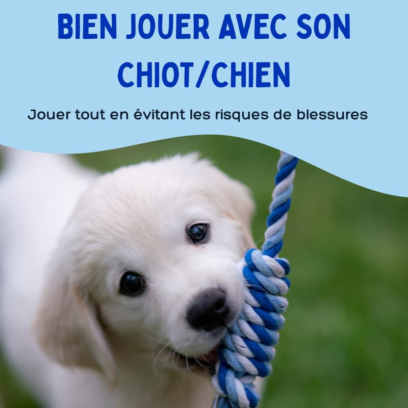 Cover Image for Bien jouer avec son chiot