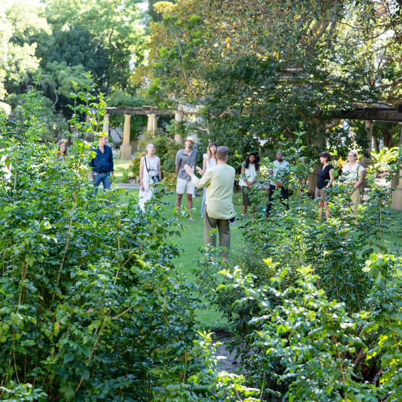 Cover Image for Inner City Forest Bathing