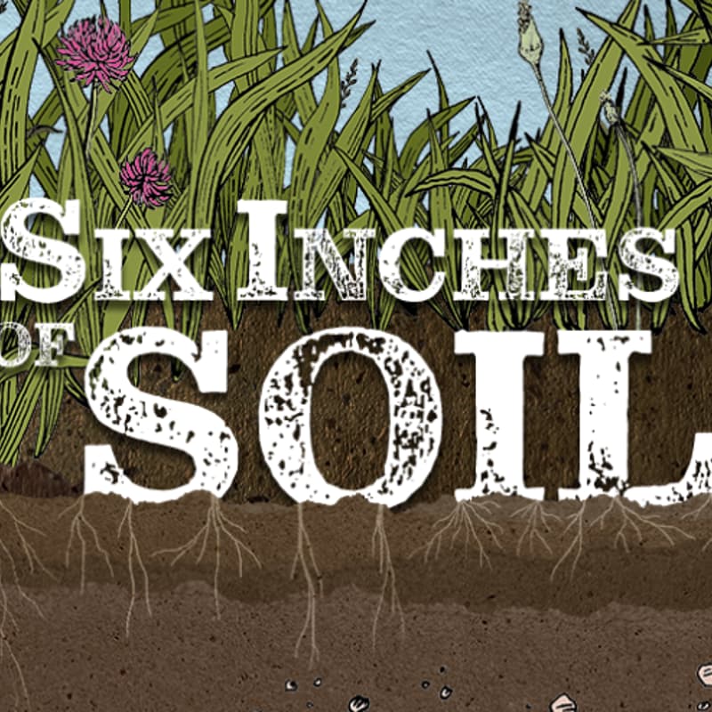 Cover Image for Six Inches of Soil Screening