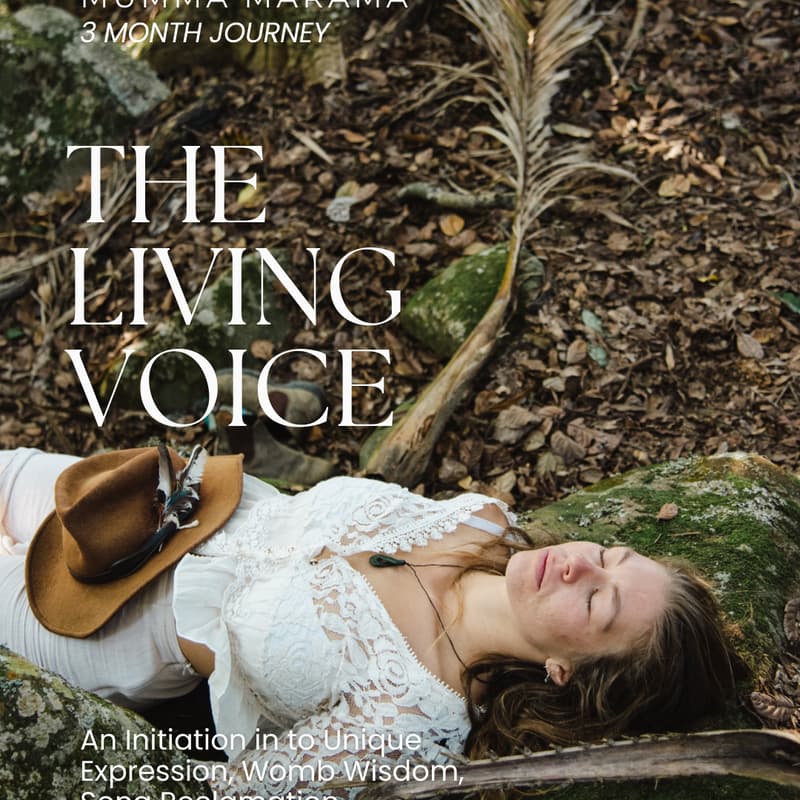 Cover Image for The Living Voice- Mentorship