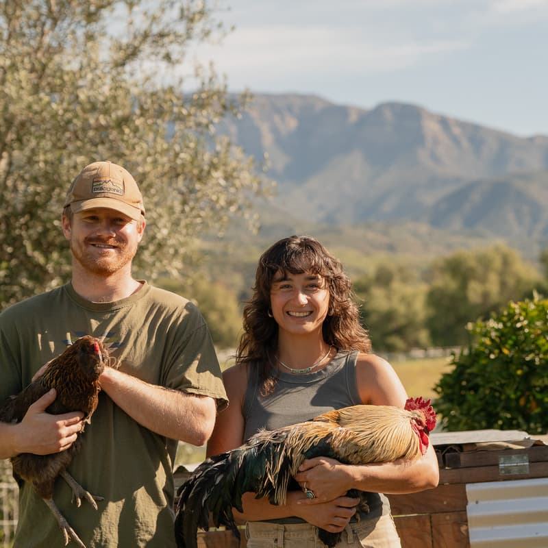 Cover Image for Backyard Chicken Care Workshop