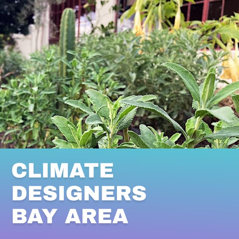 Cover Image for Climate Designers Art & Teaching Garden Day