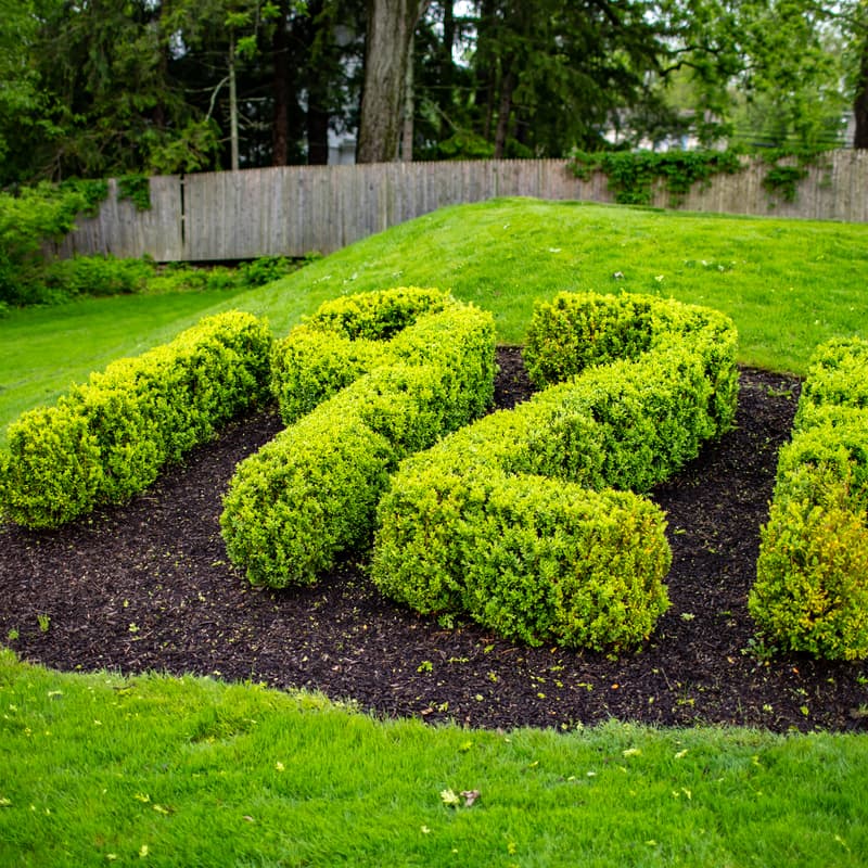 Cover Image for World Golf Network Cedar Hill Country Club Event