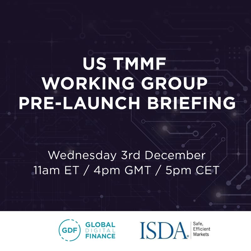 Cover Image for US TMMF Working Group Pre-Launch Briefing