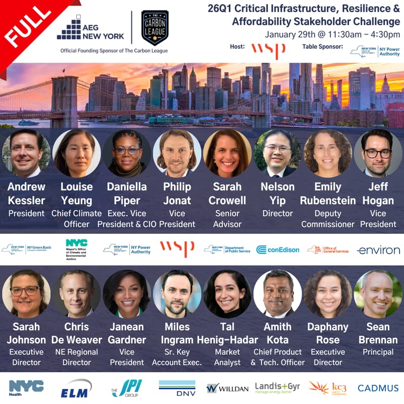 Cover Image for AEG NY 26Q1 Critical Infrastructure, Resilience & Affordability Stakeholder Challenge