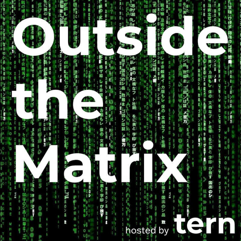 Cover Image for Outside the Matrix
