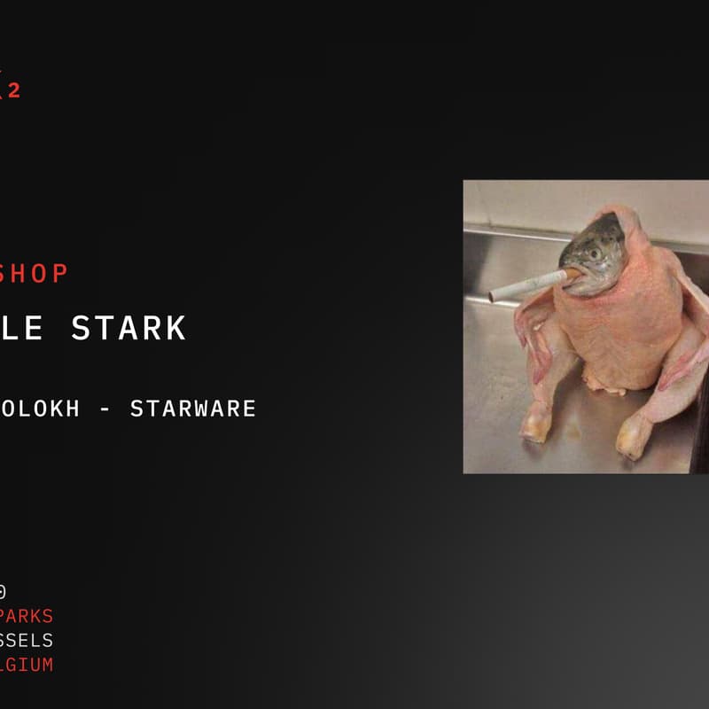Cover Image for Workshop | Circle STARK