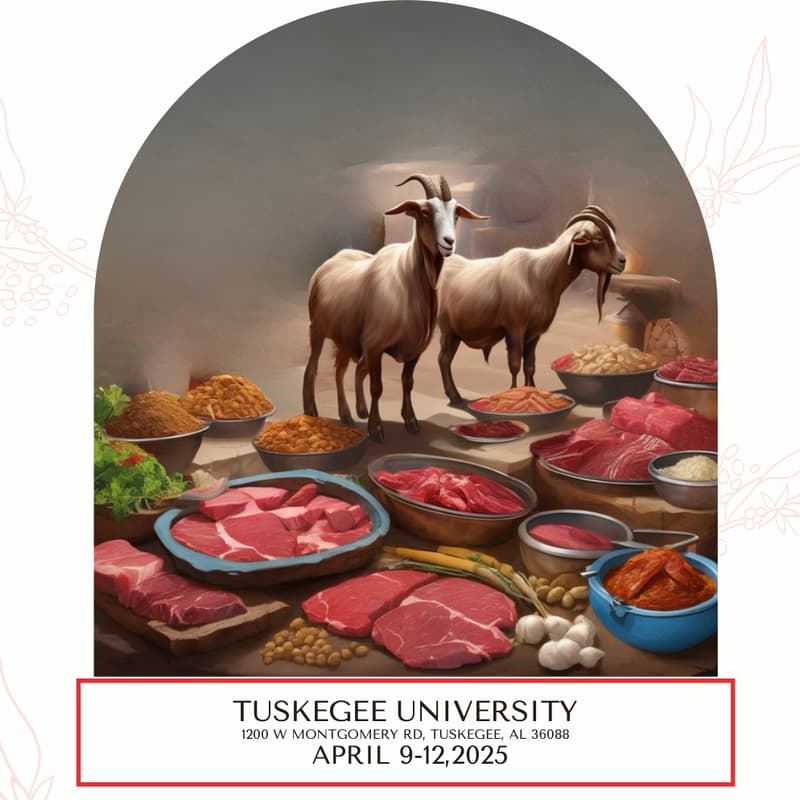 Cover Image for Black Belt Meat Summit 2025