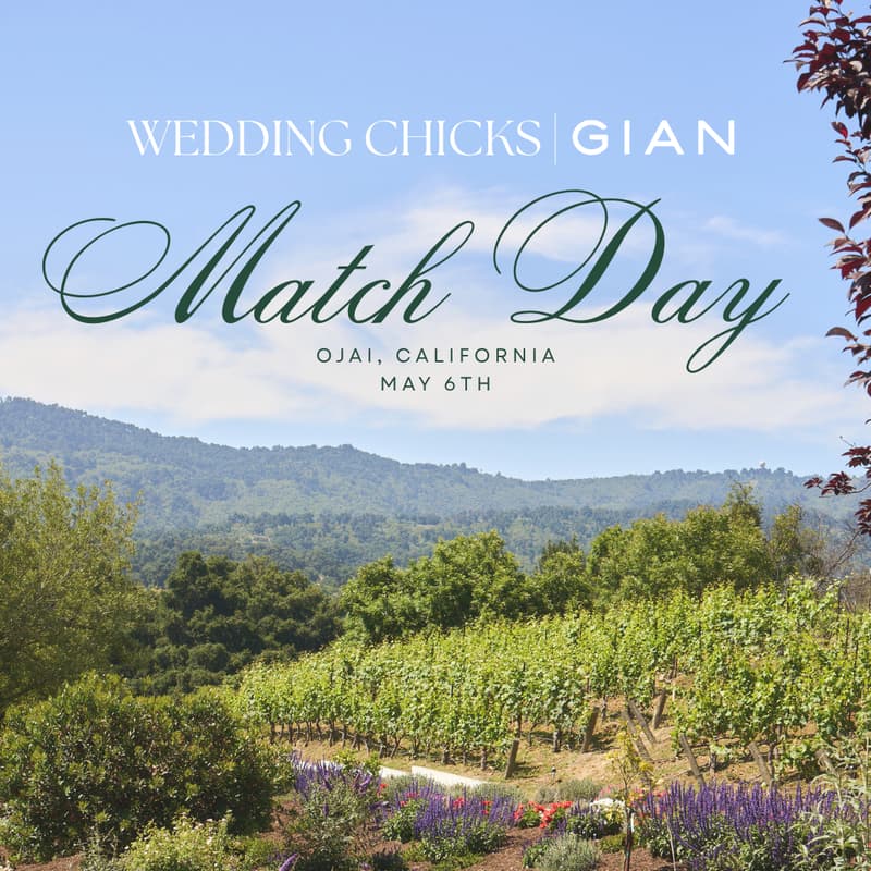 Cover Image for Wedding Chicks: Match Day