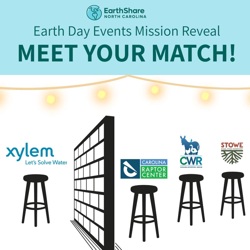 Cover Image for Charlotte Mission Reveal: Meet Your Match!