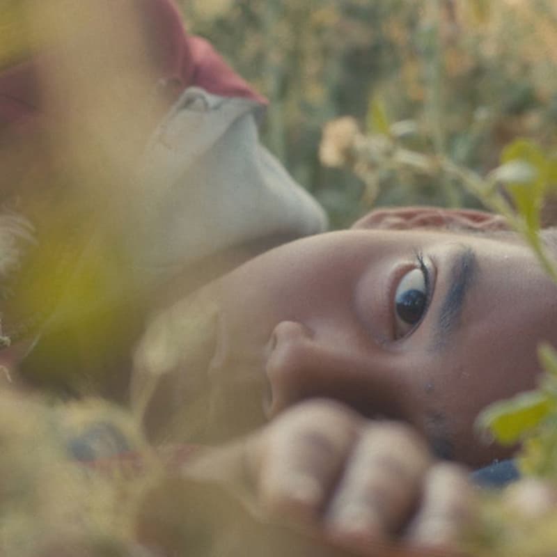 Cover Image for Film Screening: Humans in the Loop