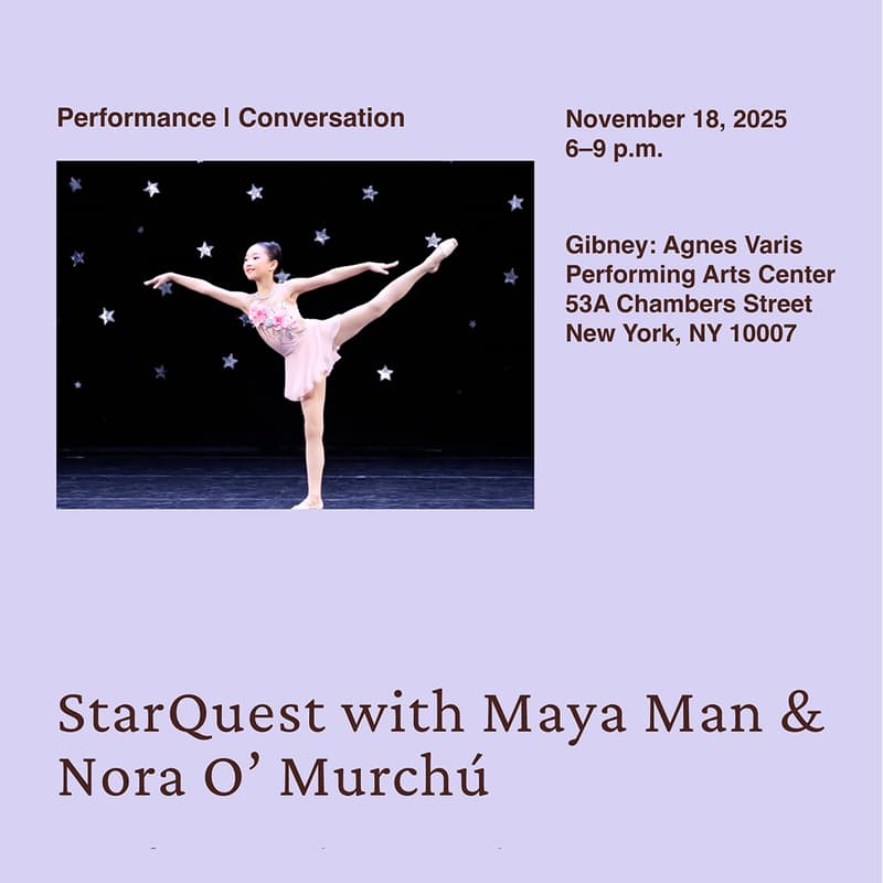 Cover Image for Triple Canopy and Feral File present: StarQuest by Maya Man