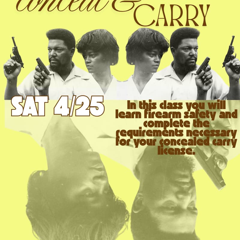 Cover Image for Firearm safety/Conceal carry