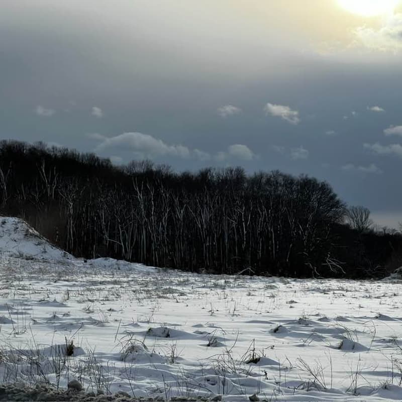 Cover Image for Save Ridge Fundraiser: What Happens Next