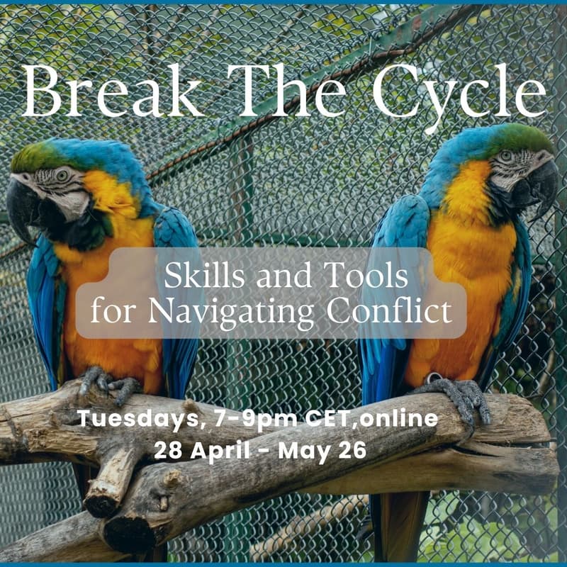 Cover Image for Break the Cycle: Skills and Tools for Navigating Conflict
