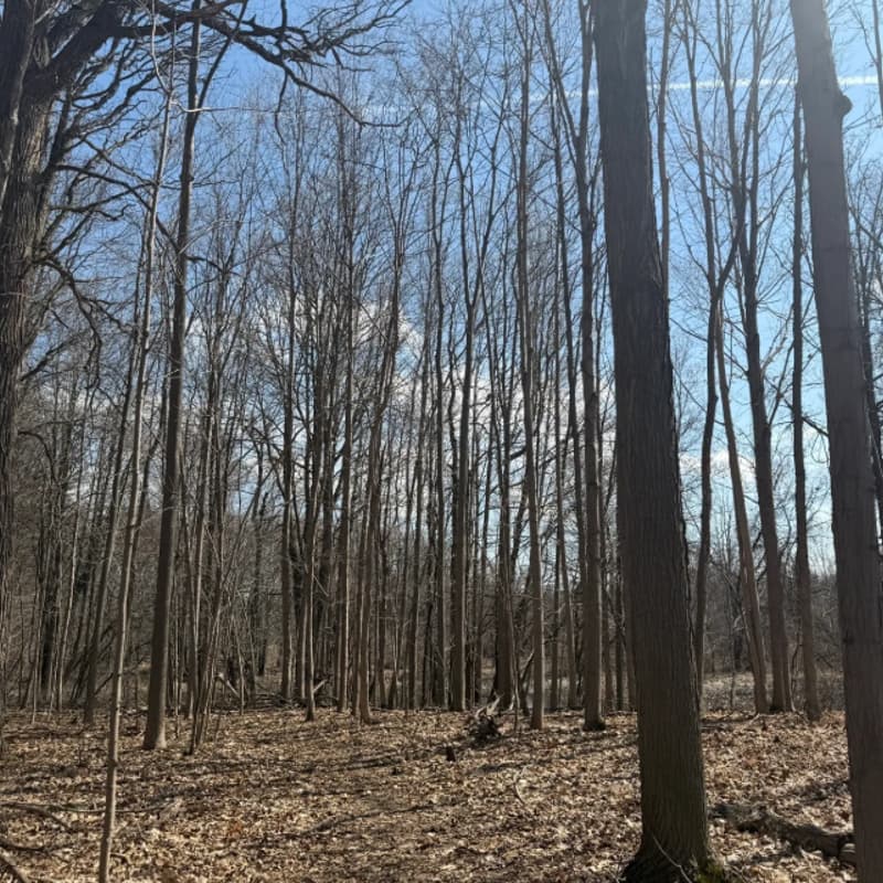 Cover Image for Claireville conservation area – Brampton – 10km+ hike – [Free Parking]