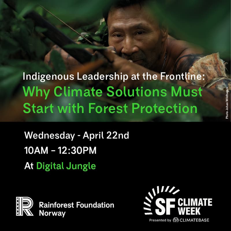 Cover Image for Indigenous Leadership at the Frontline: Why Climate Solutions Must Start with Forest Protection