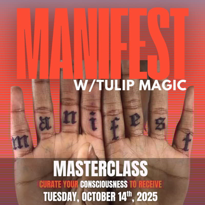 Cover Image for Manifestation Masterclass