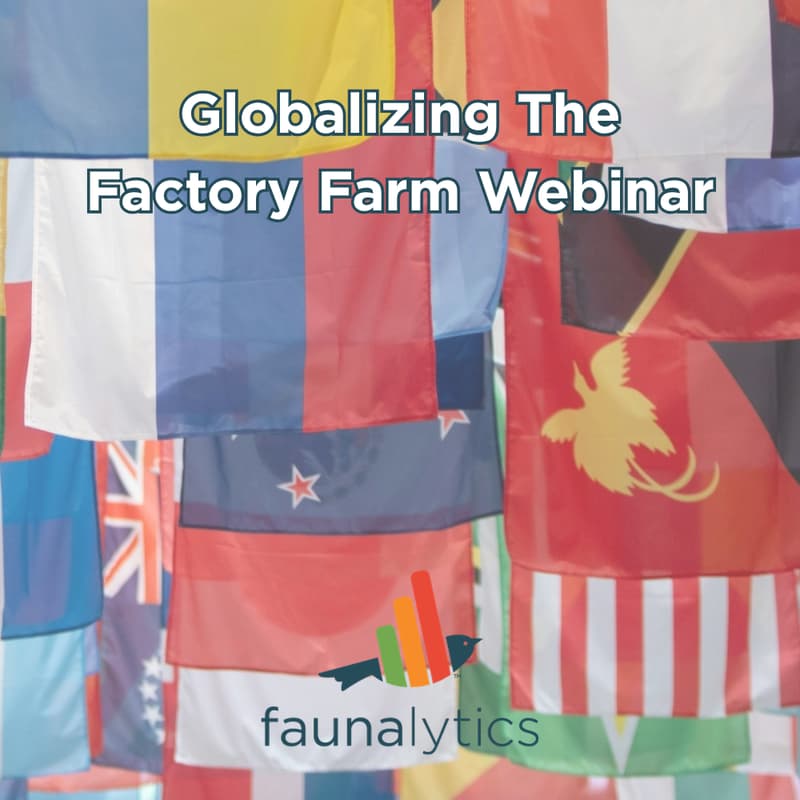 Cover Image for Globalizing The Factory Farm LMIC Webinar