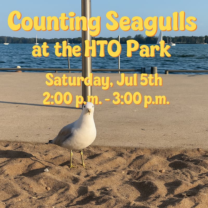 Cover Image for THE FIRST EVENT - Counting Seagulls at the HTO Park